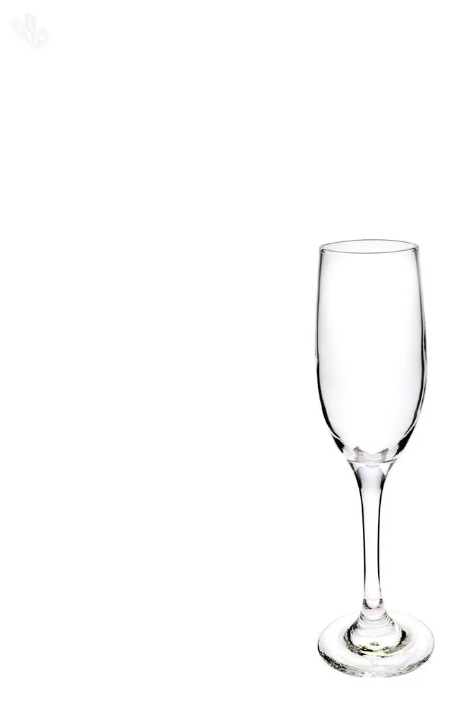 Flûtes de champagne incassables et élégantes Ducale 17cl - Lot de 6