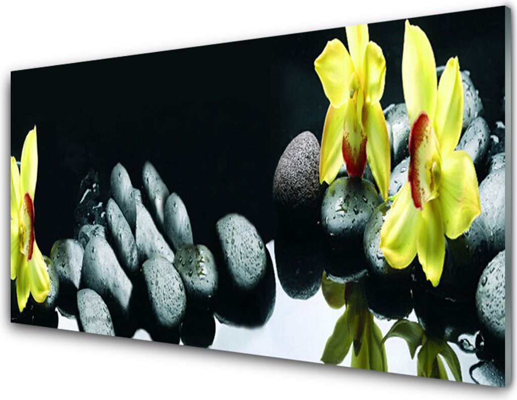 Acrylglasbilder 100x50 Wandbild Druck Blumen Steine Pflanzen