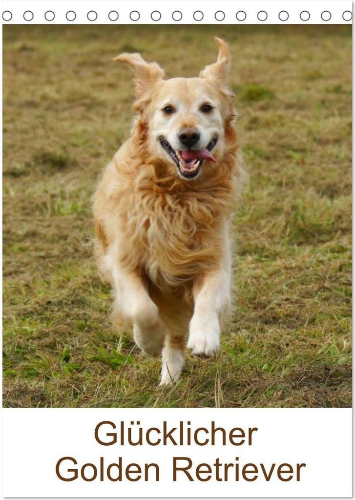 Glücklicher Golden Retriever (Tischkalender 2026 DIN A5 hoch), CALVENDO Monatskalender