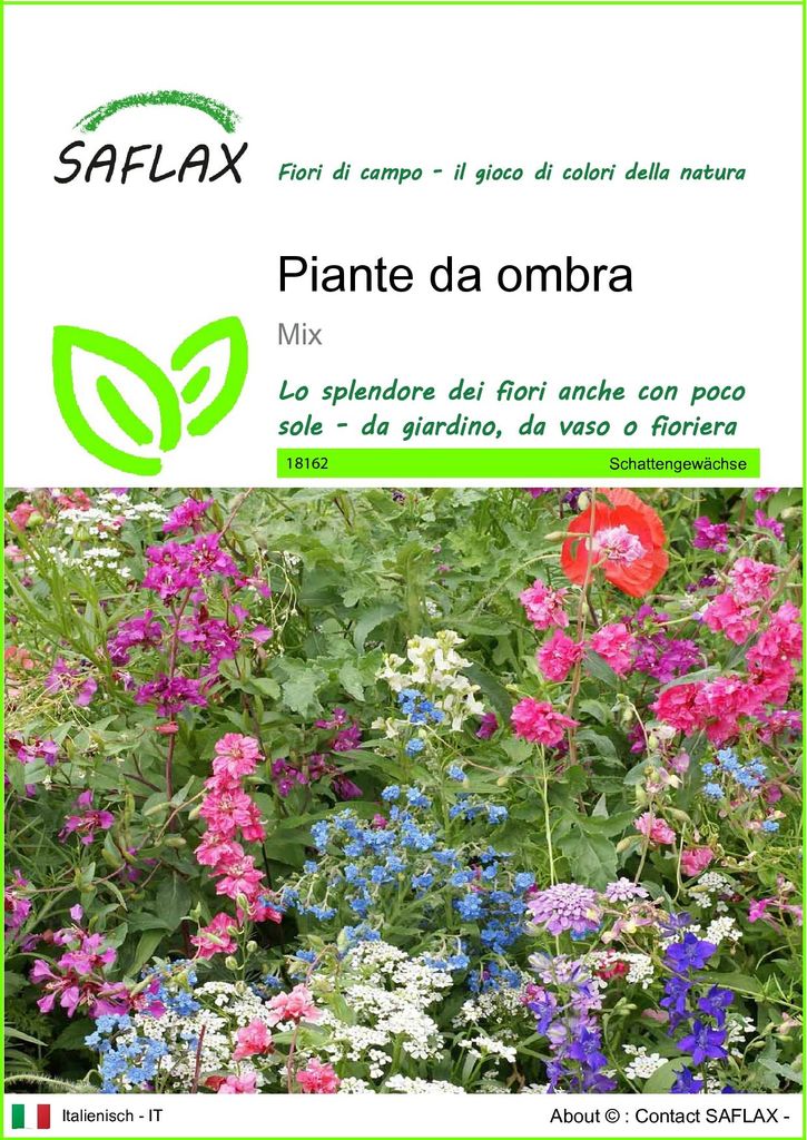 SAFLAX  - Piante da ombra - 1000 semi - Mix Immagine del prodotto 