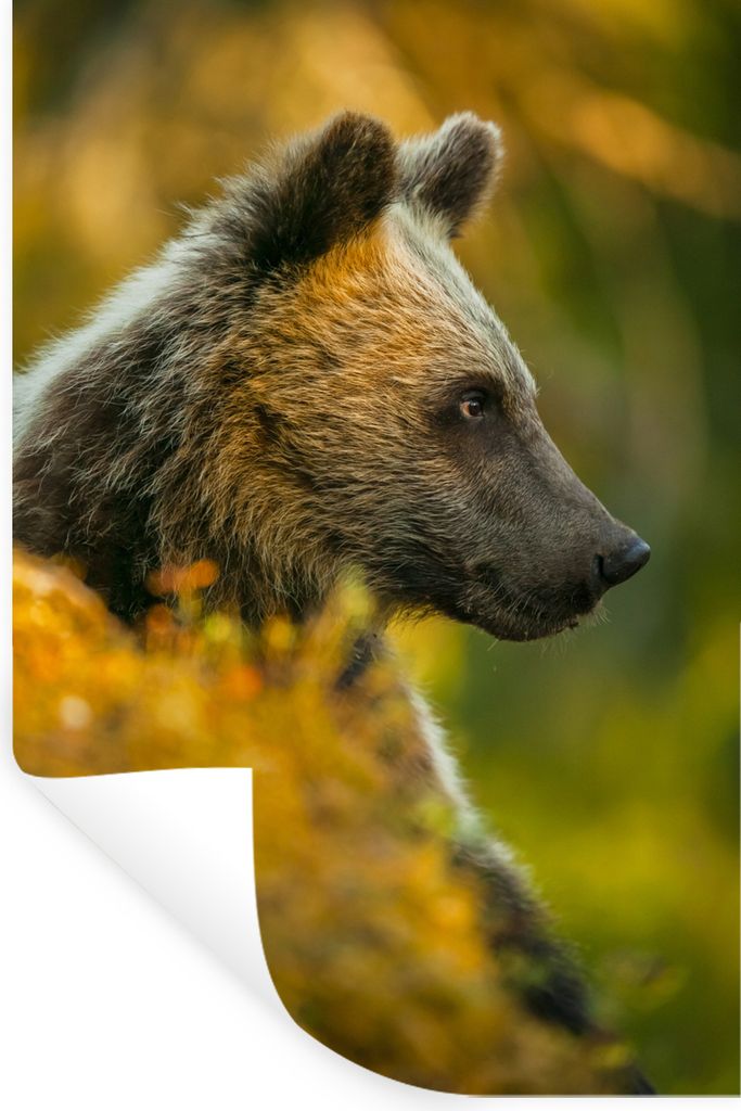 MuchoWow - Sticker - Dekorfolie