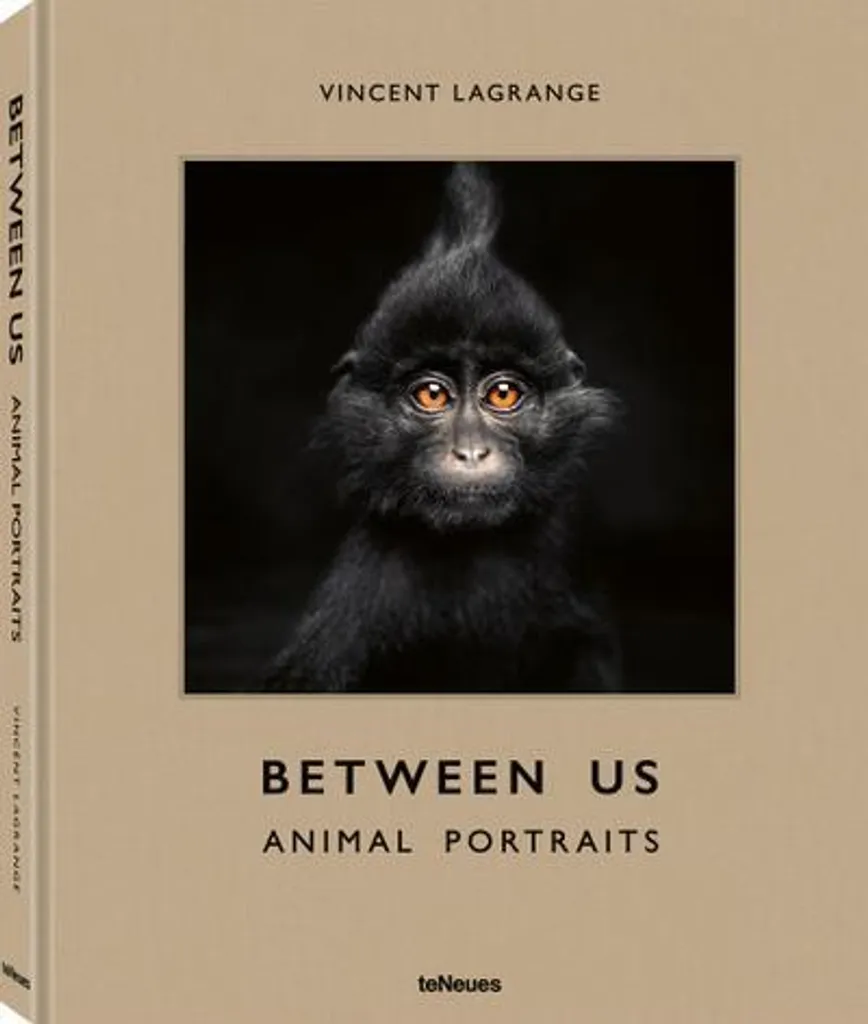 Between Us : Cartes de Questions Intimes pour Raviver la Flamme - 2