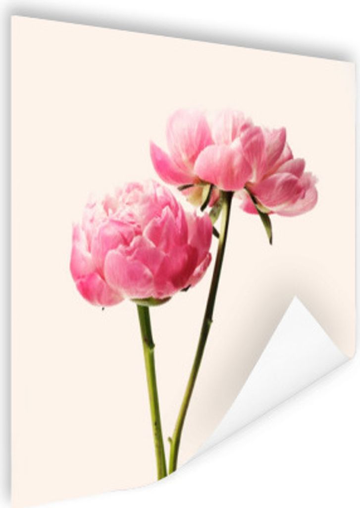 MuchoWow Poster Blumen - Blüte - Rosa 100x100 cm - Babyzimmer