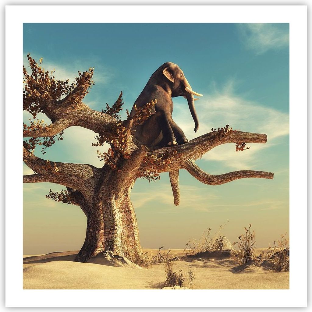 Poster - Poster ohne Rahmen - Sitzen Elefant Baum - 60x60 cm - Wand Bild - Wanddeko - Wandbilder - Kunstposter - Wandposter - Bilder - Kunstdruck -...