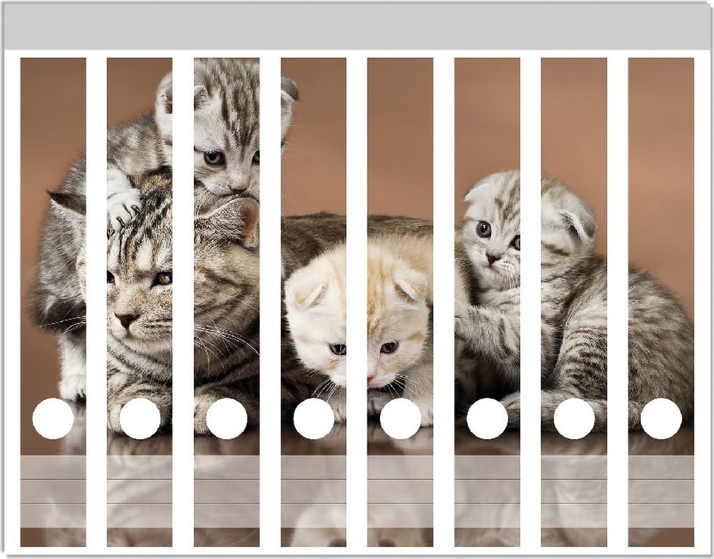 Wallario Ordnerrücken Sticker, selbstklebend für schmale Ordner, 8 Stück, Motiv Katzenfamilie