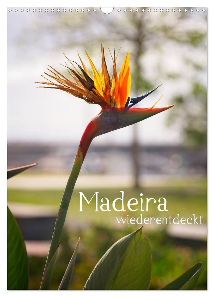Madeira - wiederentdeckt (Wandkalender 2027 DIN A3 hoch), CALVENDO Monatskalender