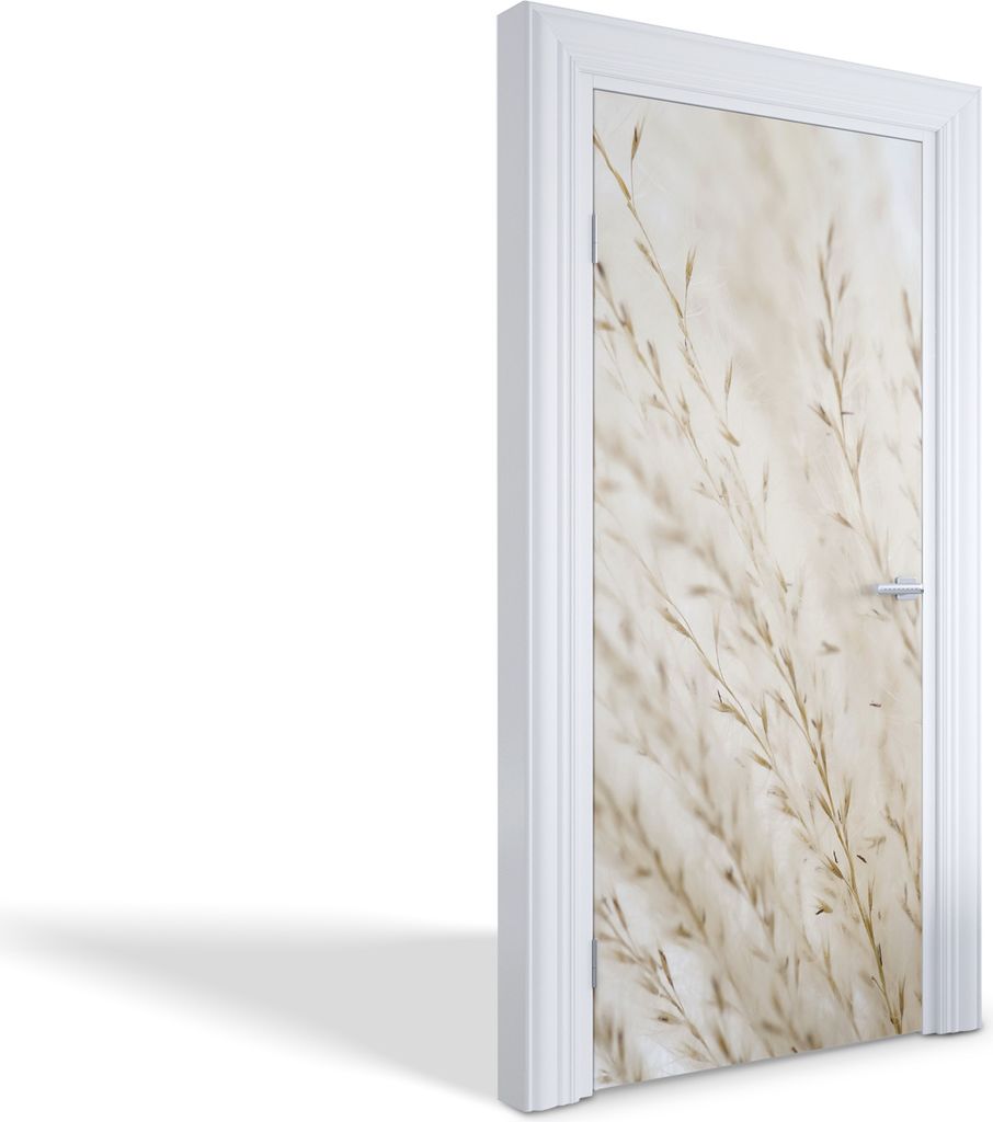 Türfolien Design Selbstklebende Wandsticker Türtapeten - Zarte Gräser - 95 x 205 cm