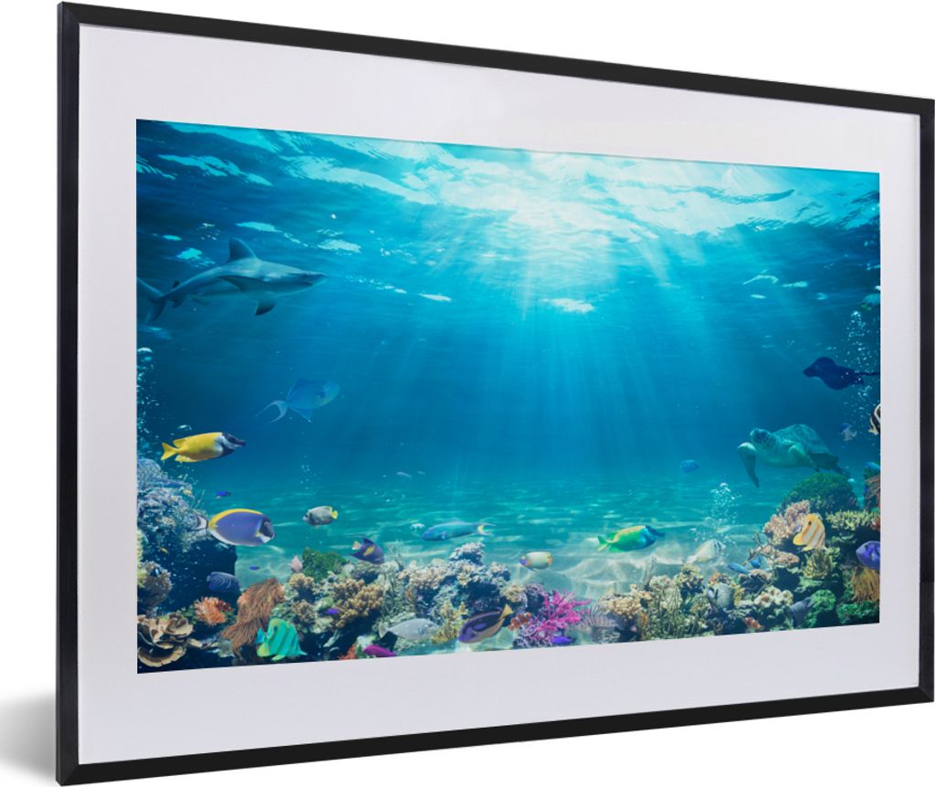 MuchoWow Gerahmtes Poster Unterwasserwelt - Meerestiere - Wasser - Korallen - Blau 60x40 cm - Poster mit Schwarzem Bilderrahmen Wandposter Rahmen...