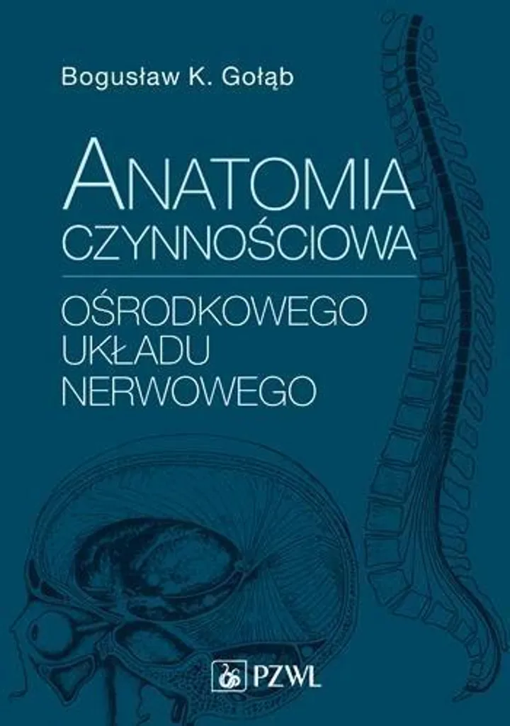 Comprendre enfin l'anatomie fonctionnelle du système nerveux central