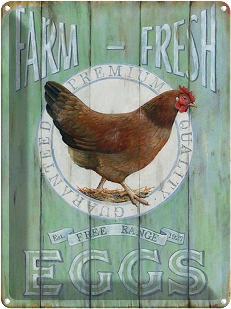 vianmo Blechschild 40x30 cm Huhn Farm fresh Eggs free range