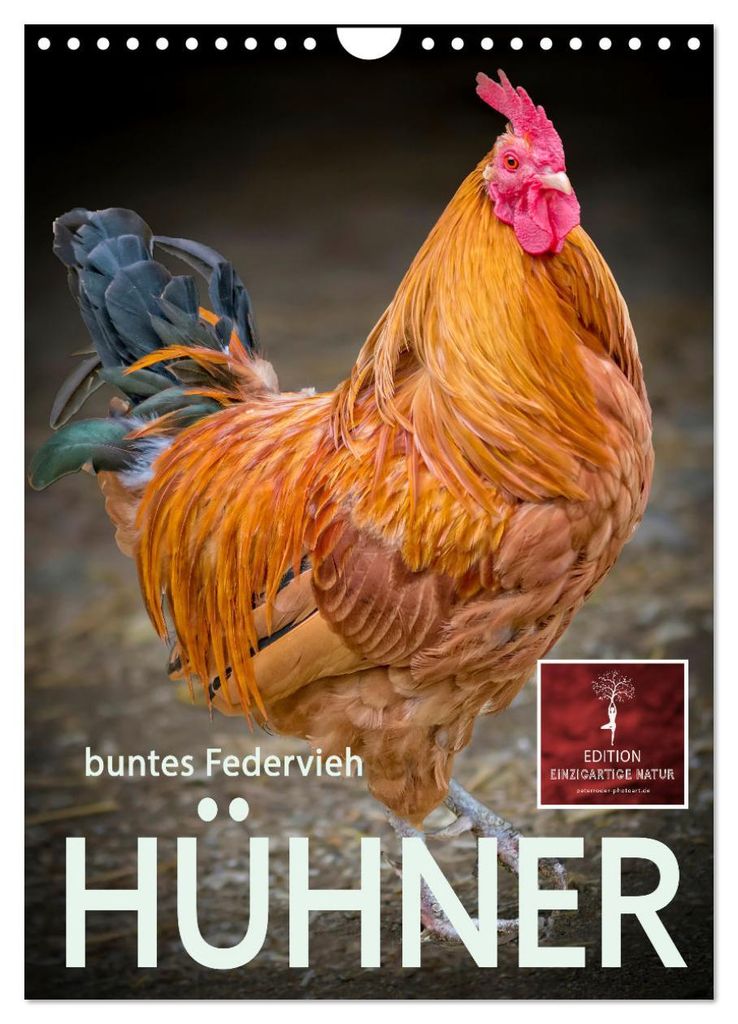 Hühner - buntes Federvieh (Wandkalender 2027 DIN A4 hoch), CALVENDO Monatskalender