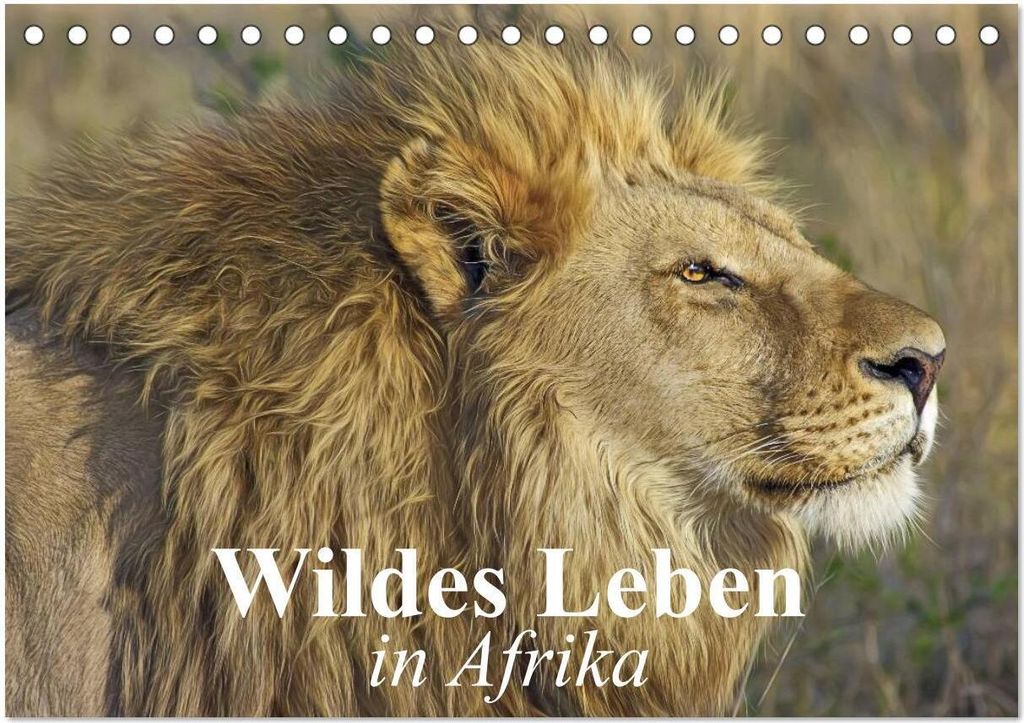 Wildes Leben in Afrika (Tischkalender 2026 DIN A5 quer), CALVENDO Monatskalender