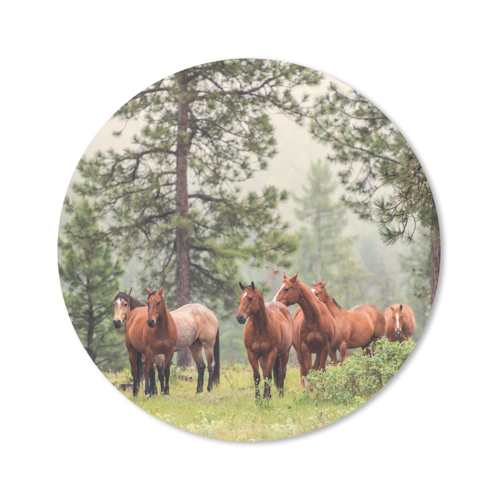 MuchoWow Mauspad Mousepad Pferde - Wald - Nebel 50x50 cm - Mousepads - Maus Mat - Pad - Mausunterlage - Vinyl