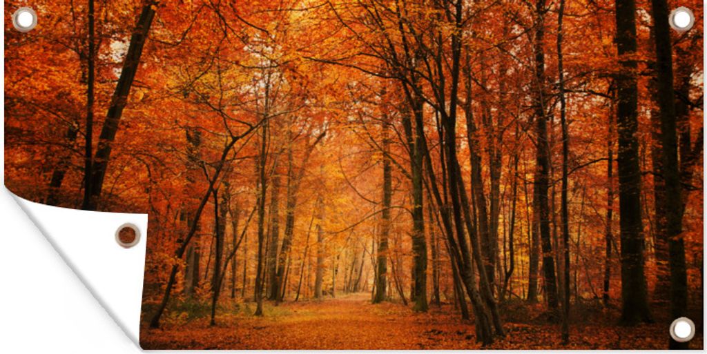 MuchoWow 80x40 cm Outdoor-Poster Gartendeko Sichtschutz Garten Poster für den Garten Ein Wald mit Herbstfarben