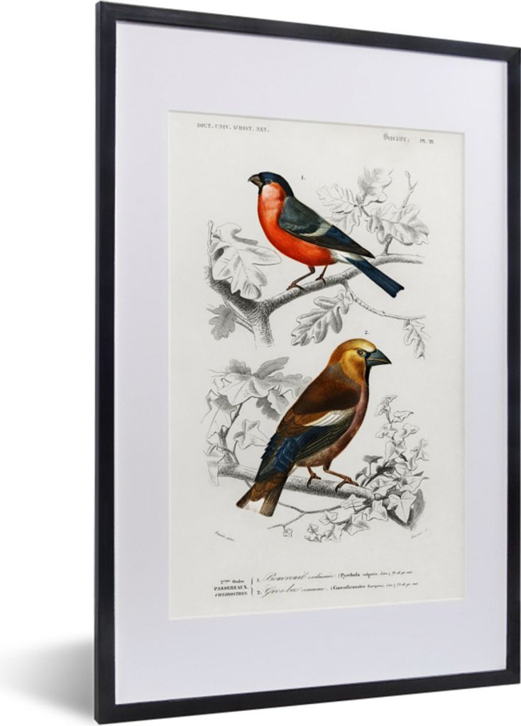 MuchoWow MuchoWow Gerahmtes Poster Vogel - Vintage - Zweig 40x60 cm - Poster mit zchwarzem Bilderrahmen - Poster in Rahmen