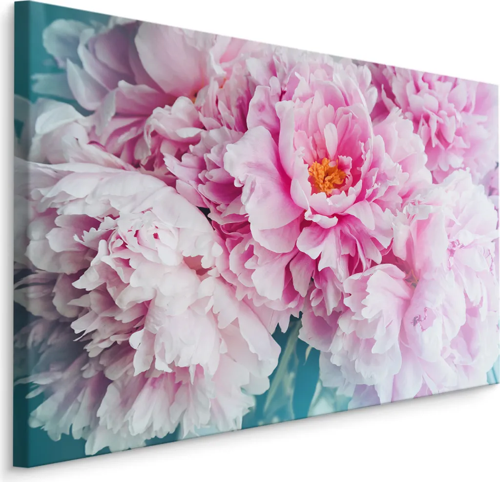 Favolosa tela PICTURES 120x80 cm XXL stampa d'arte peonie fiori natura - 1