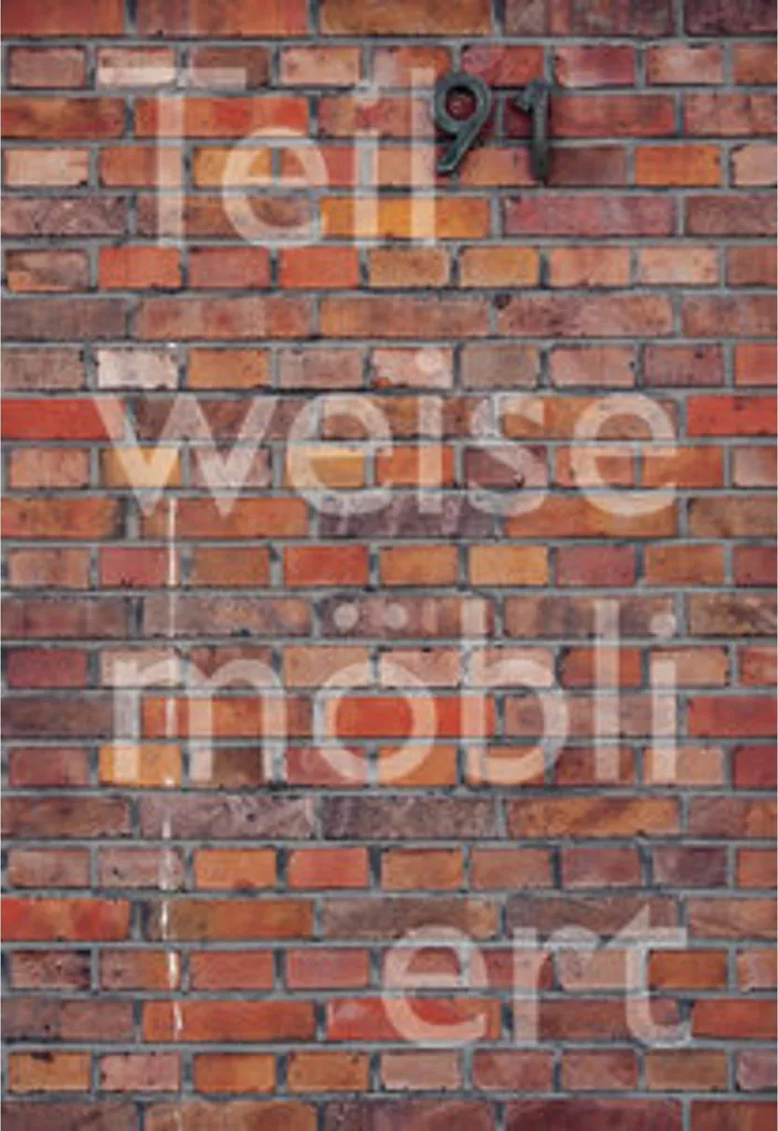 Catalogue d'Exposition Haus Lange : Art in situ et vues d'exception