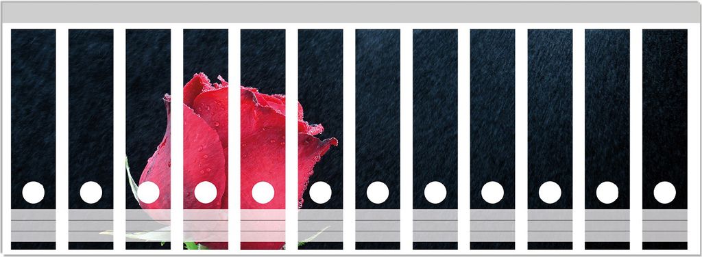 Wallario Ordnerrücken Sticker, selbstklebend für breite Ordner, 12 Stück, Motiv Rose vor dunklem Hintergrund