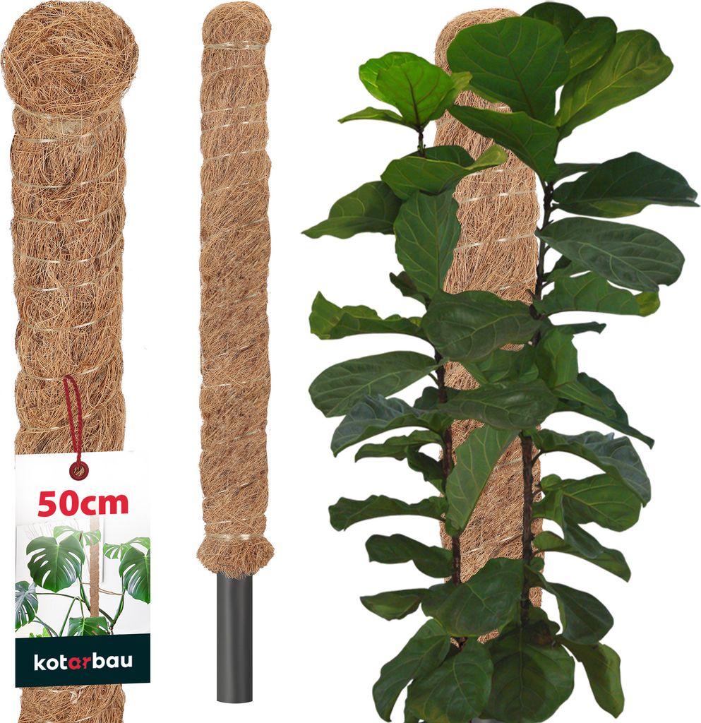 KOTARBAU® Mechová tyč pro Monsteru Kokosová tyč Přírodní ⌀ Obrázek produktu
