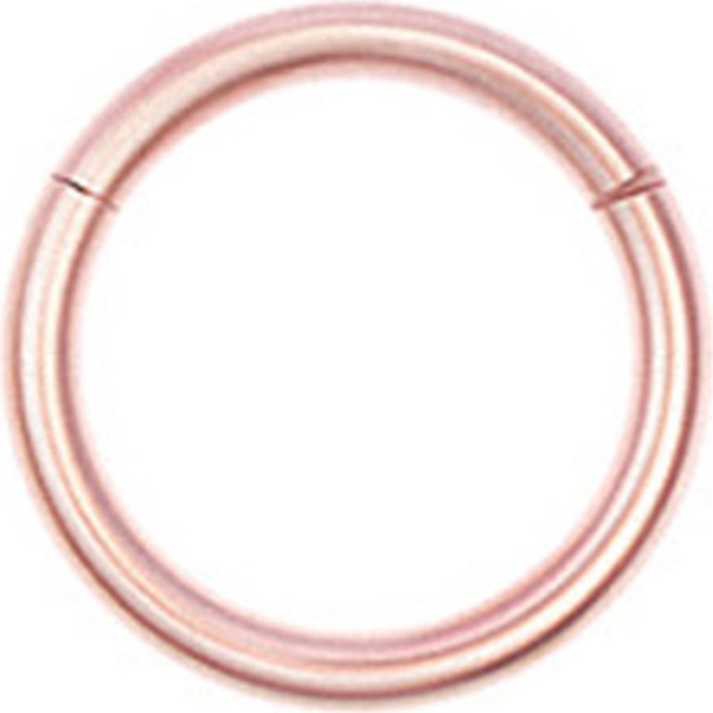 Nasenring, schicker, sicherer, dekorativer Lippenring aus Edelstahl für die Nase-Roségold,1.2x10mm