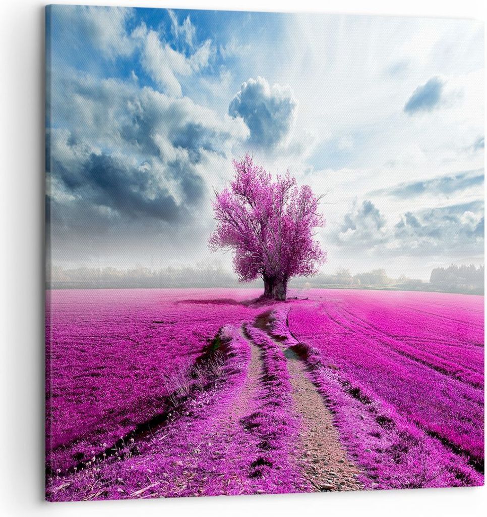 Bild auf Leinwand - Leinwandbild - Heidefeld Baum Wolken Landschaft - 50x50cm - Wand Bild - Wanddeko - Leinwanddruck - Bilder - Kunstdruck - Wandde...