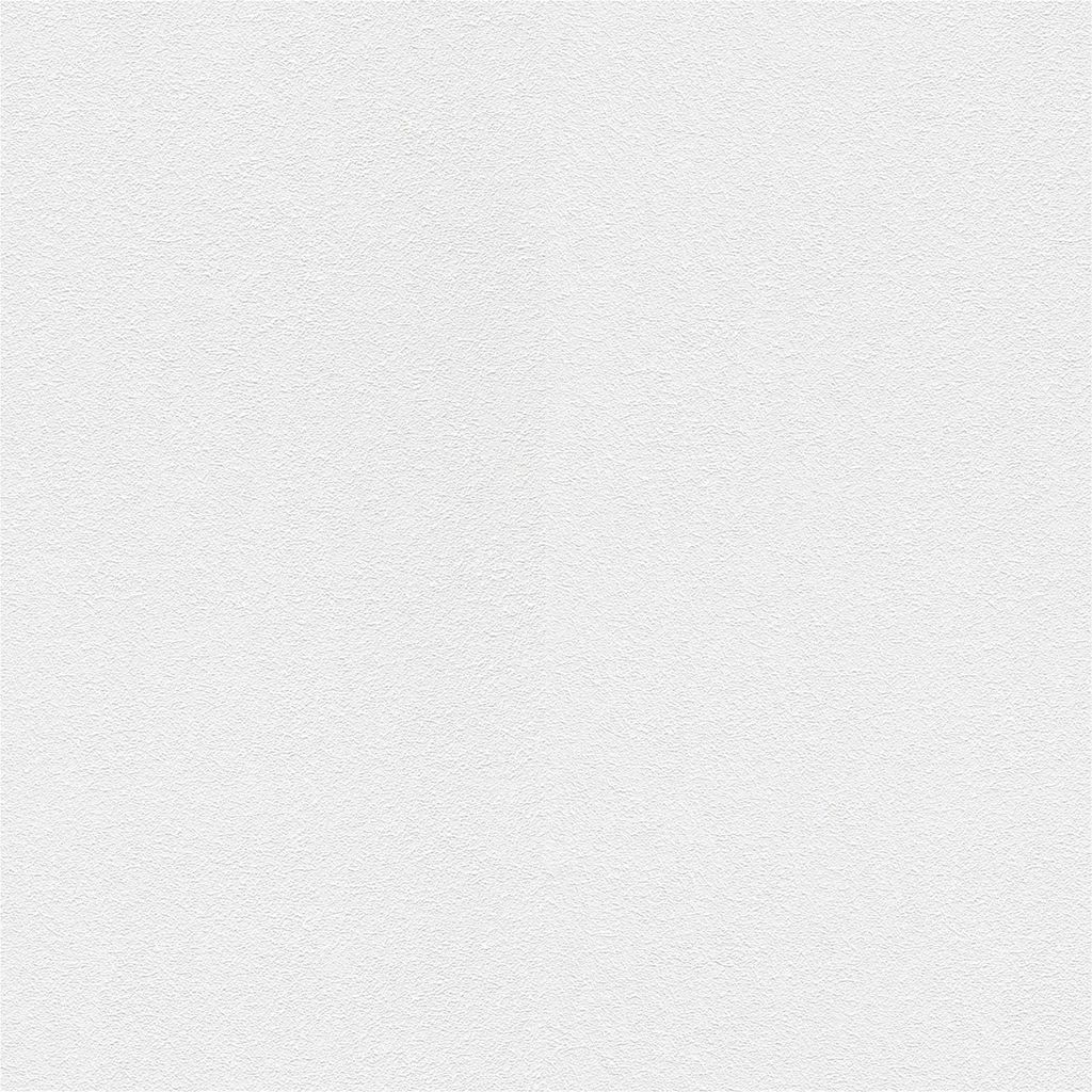 Vliestapete 161311 Tapete Putz 106 x 2500 cm Rasch Selection Weiß