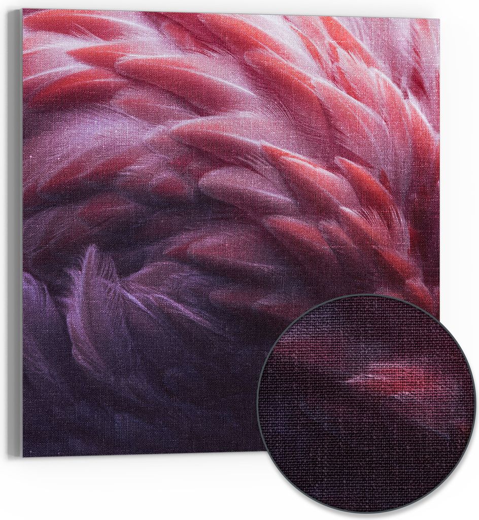 DEQORI Hybrid Leinwand Bild 30x30 cm 'Rosarote Pracht' Wandbild Glas flach modern