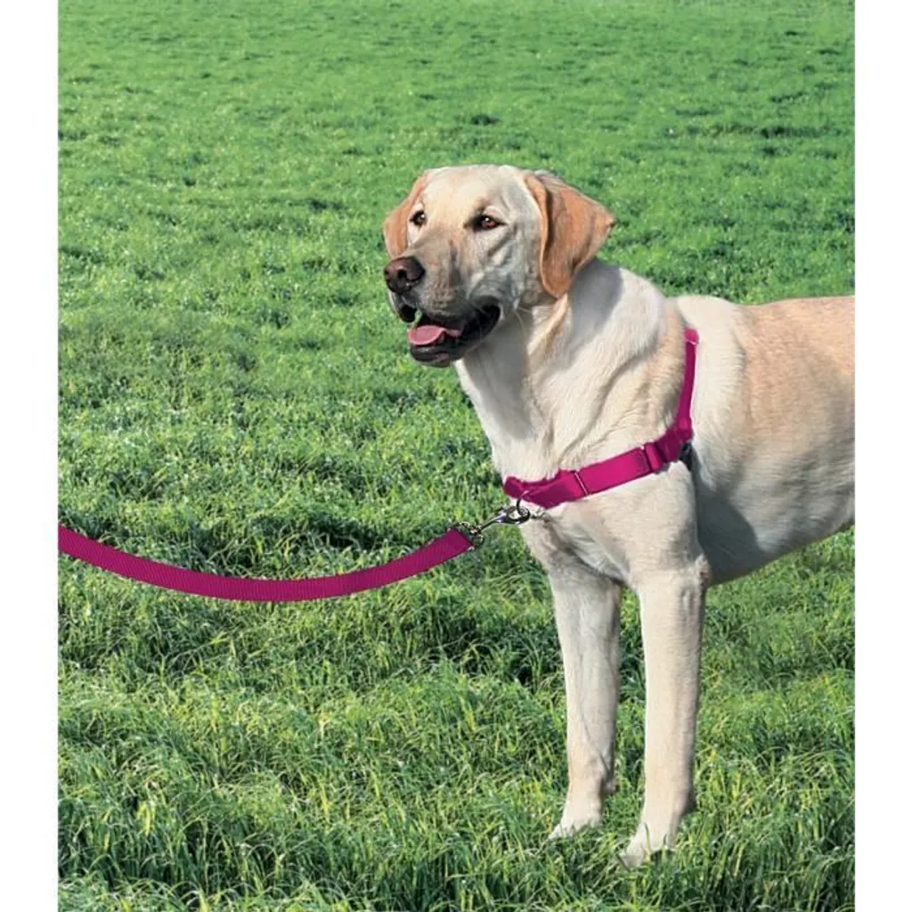 Harnais Petsafe Easy Walk Rosa L - Attache Poitrail et Nylon Doux