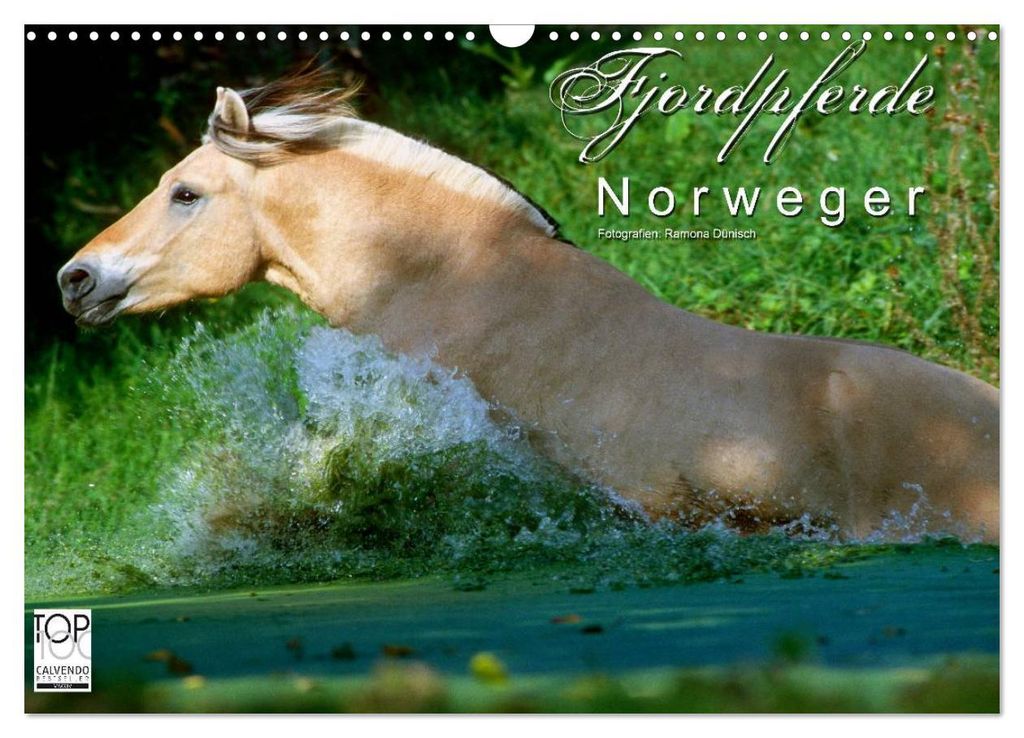 Fjordpferde - Norweger (Wandkalender 2027 DIN A3 quer), CALVENDO Monatskalender
