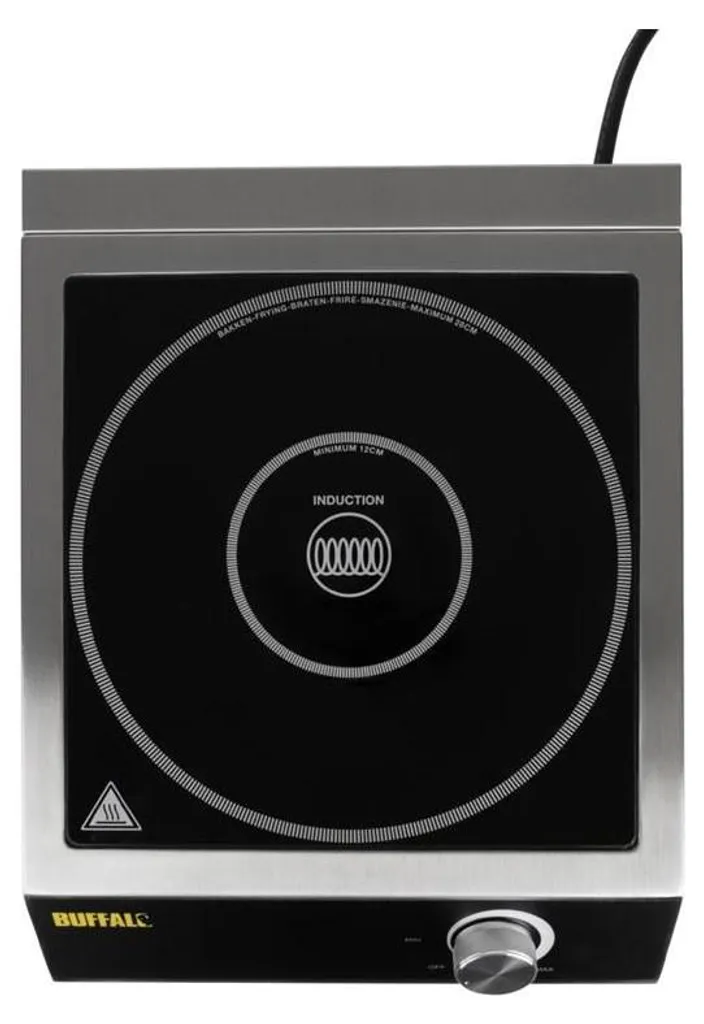 Buffalo Plaque de Cuisson à Induction 3000W - Modèle Haute Puissance CE