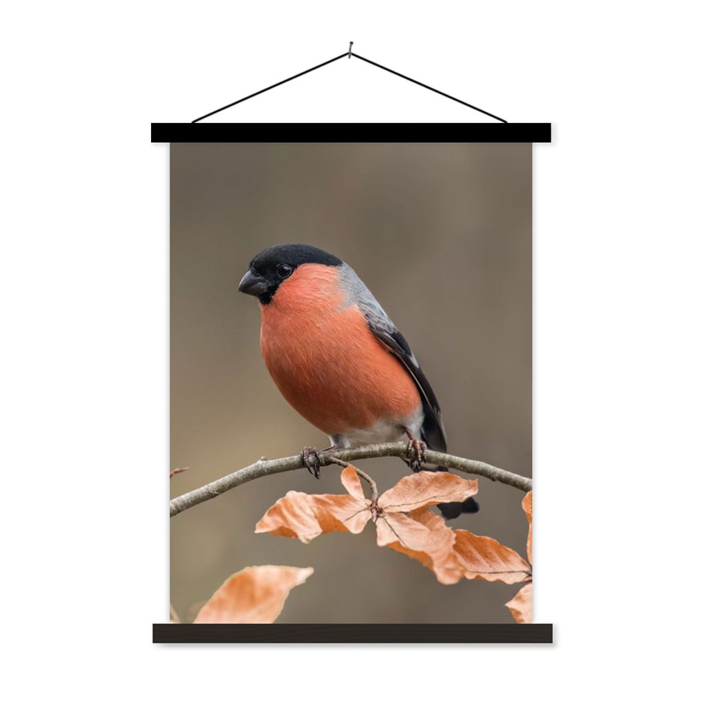 MuchoWow Textilposter Vogel - Laub - Herbst - Gimpel - 120x160 cm mit schwarzem Rahmen - Magnetischer