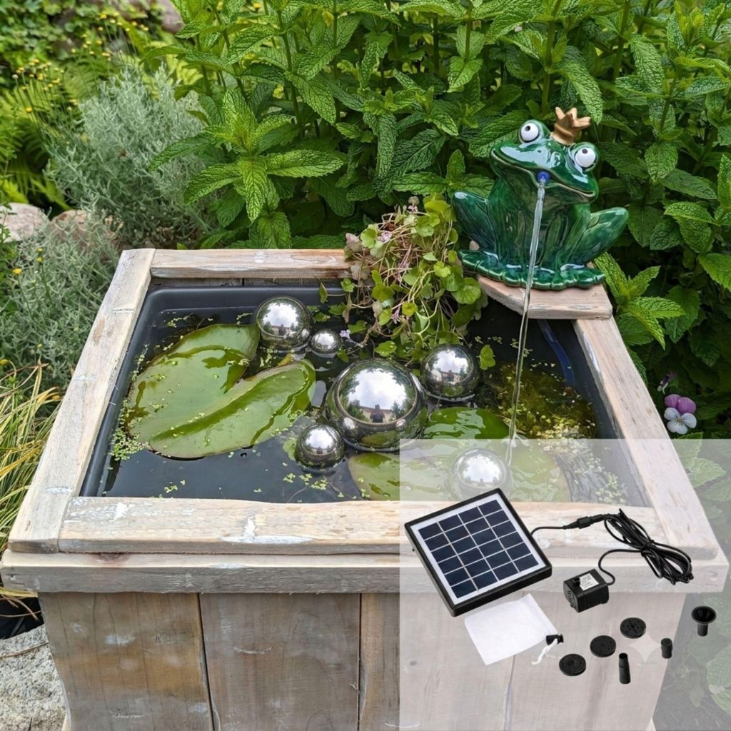Miniteich Komplettset – Solar Wasserspiel Froschkönig mit Produktbild 