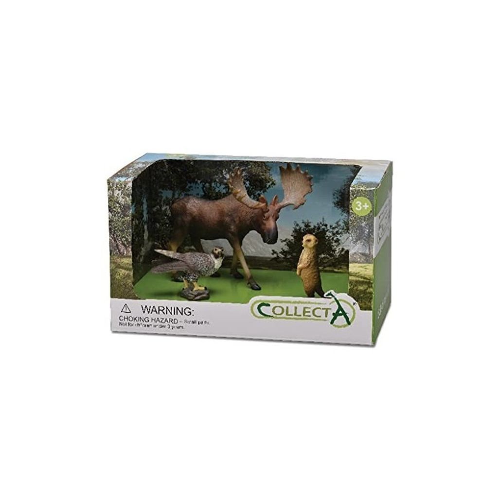 Collecta Wild Animals: 3-teiliges Geschenkset COLLECTA