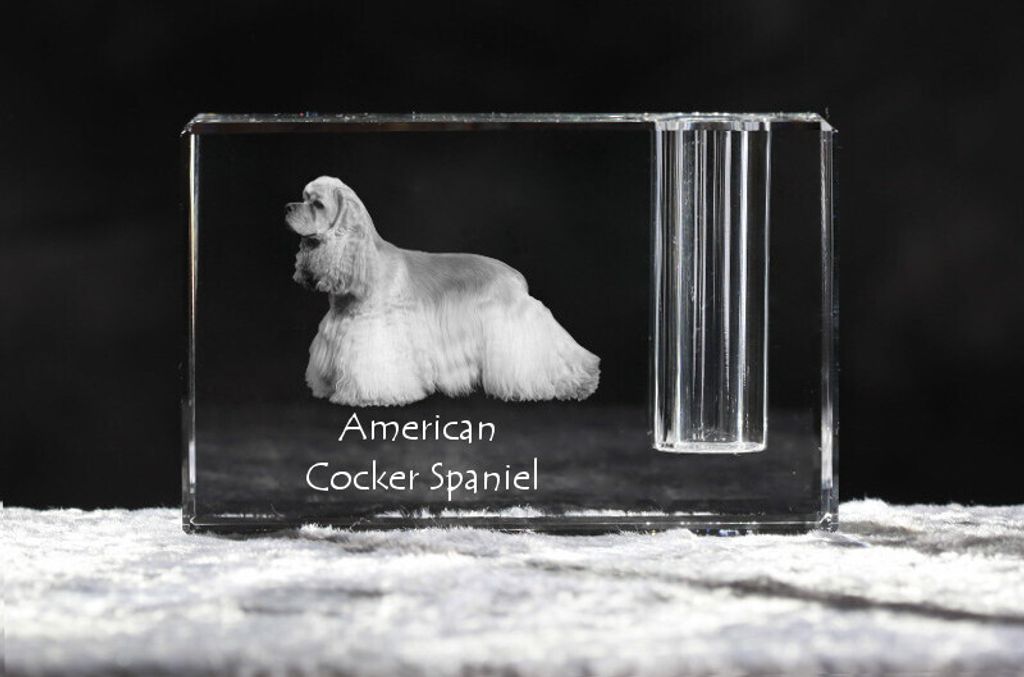 Amerikanischer Cocker Spaniel, American Cocker Spaniel - Stifthalter, Kristallorganizer mit Hundefoto, einzigartige Schreibtischdekoration der Mark...