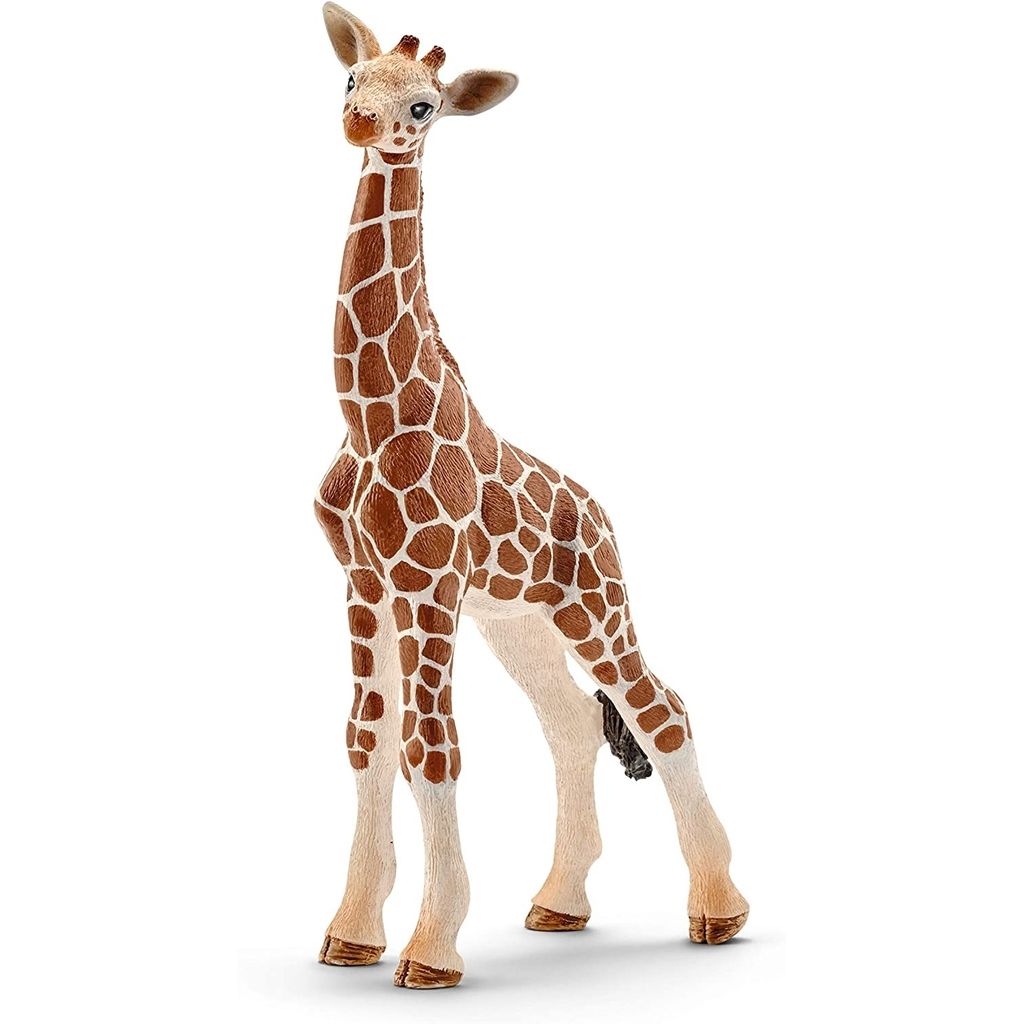 Baby giraffa Immagine del prodotto 