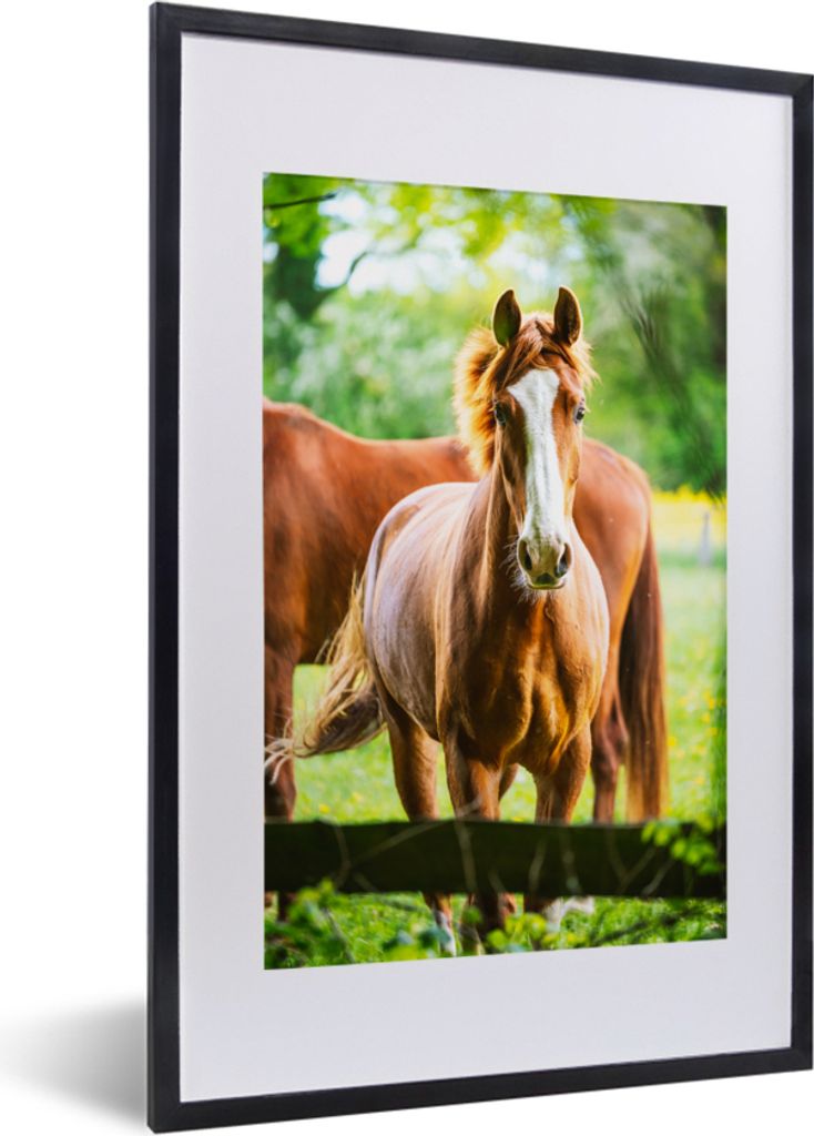 MuchoWow MuchoWow Gerahmtes Poster Pferde - Licht - Wiese 40x60 cm - Poster mit zchwarzem Bilderrahmen - Poster in Rahmen