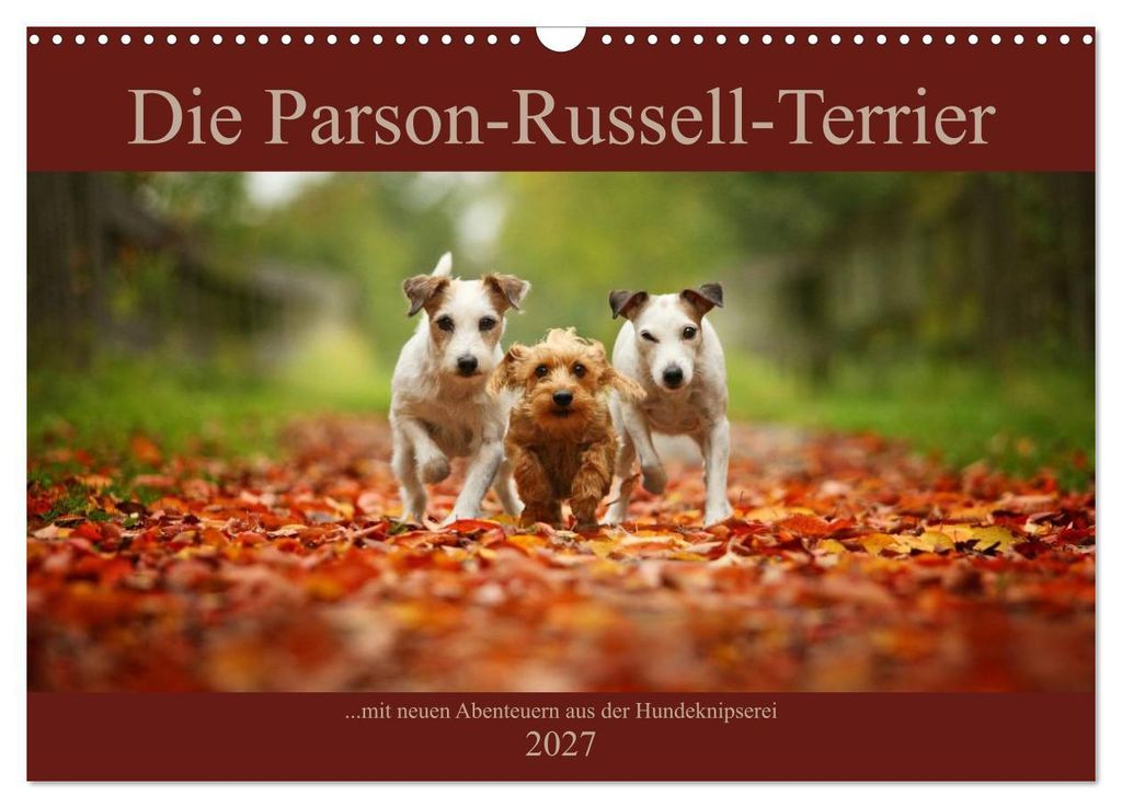Die Parson-Russell-Terrier...mit neuen Abenteuern aus der Hundeknipserei (Wandkalender 2027 DIN A3 quer), CALVENDO Monatskalender
