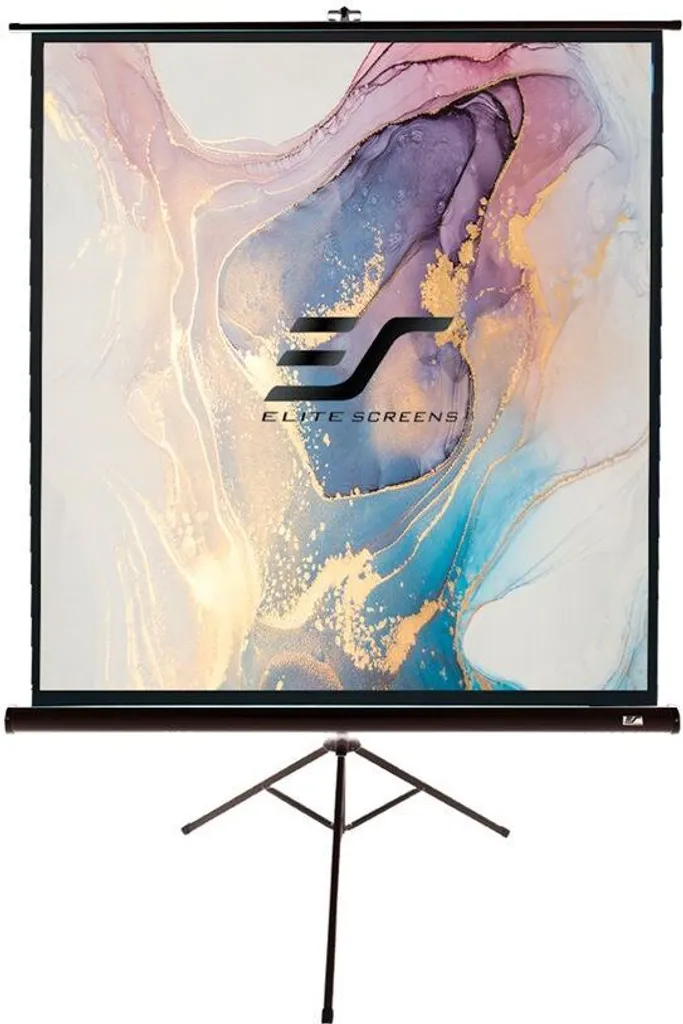 Écran de Projection sur Trépied 16:9 Elite Screens Noir 221 x 124 cm