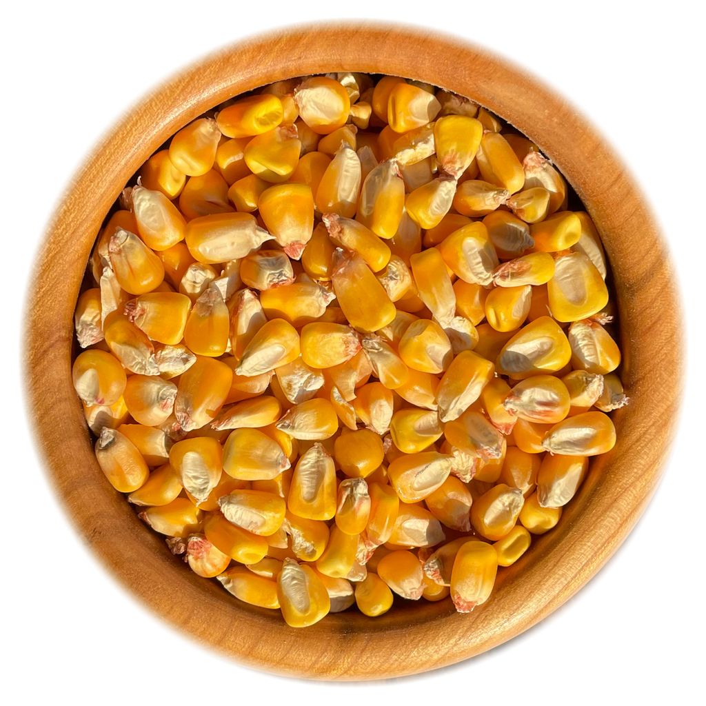 A close-up, top-down view of dried corn kernels in a wooden bowl.