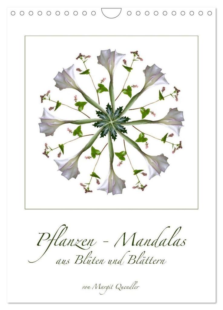 Pflanzen - Mandalas aus Blüten und Blättern (Wandkalender 2027 DIN A4 hoch), CALVENDO Monatskalender