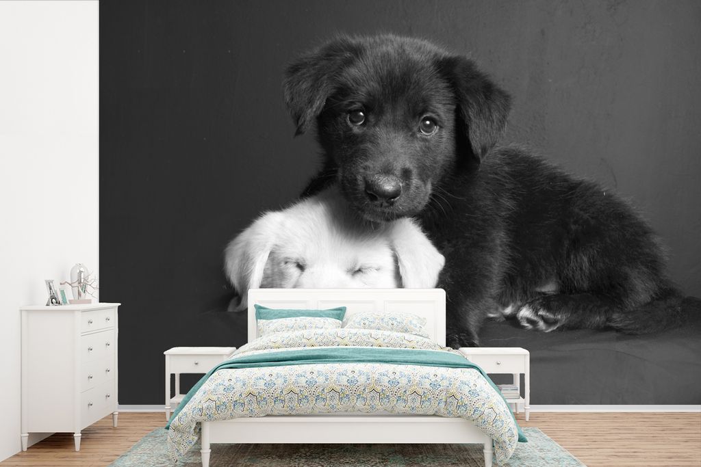MuchoWow Fototapete für Wohnzimmer oder Schlafzimmer Wandtapete Vinyl Motivtapete Hunde - Welpe - Schwarz - Weiß - Tiere - 525x350 cm - Das Hin...