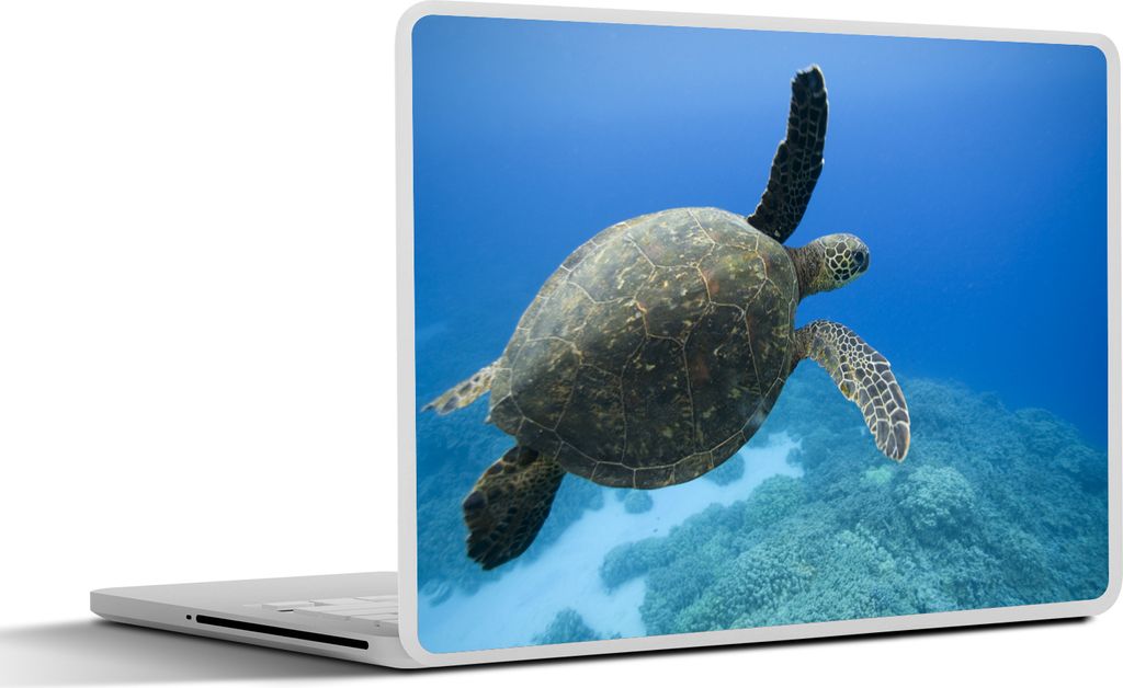 MuchoWow Laptop Aufkleber Sticker Cover Grüne schwimmende Schildkröte Fotodruck 31x22.5 cm - Laptop-Deko