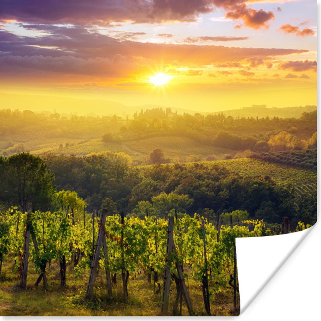 MuchoWow Poster Toskana - Italien - Weinreben 30x30 cm - Wandposter - Printing