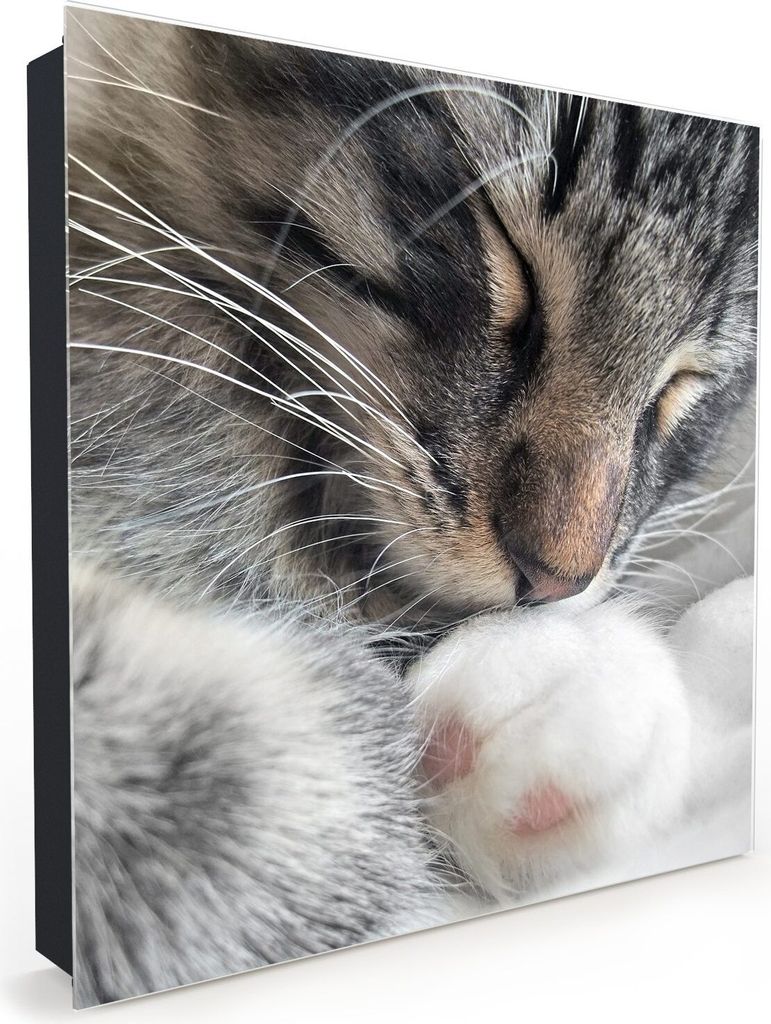 Nachbildung-Schlüsselkasten, Magnetpinnwand und Memoboard mit Glasfront Motiv Waldkatze