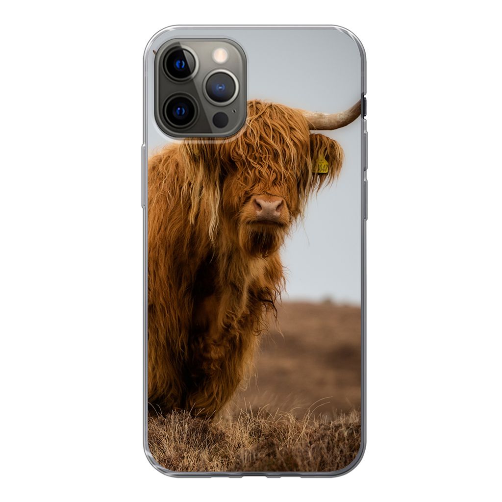 MuchoWow Handyhülle Schutzhülle Hülle für iPhone 13 Pro Schottischer Highlander - Düne - Gras Silikon Softcase Handy Hülle - Handy-Tasche