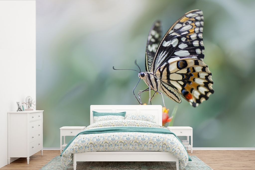 MuchoWow Fototapete für Wohnzimmer oder Schlafzimmer Wandtapete Vinyl Motivtapete Seiten Schmetterling auf Blume - 600x400 cm - Vinyltapeten