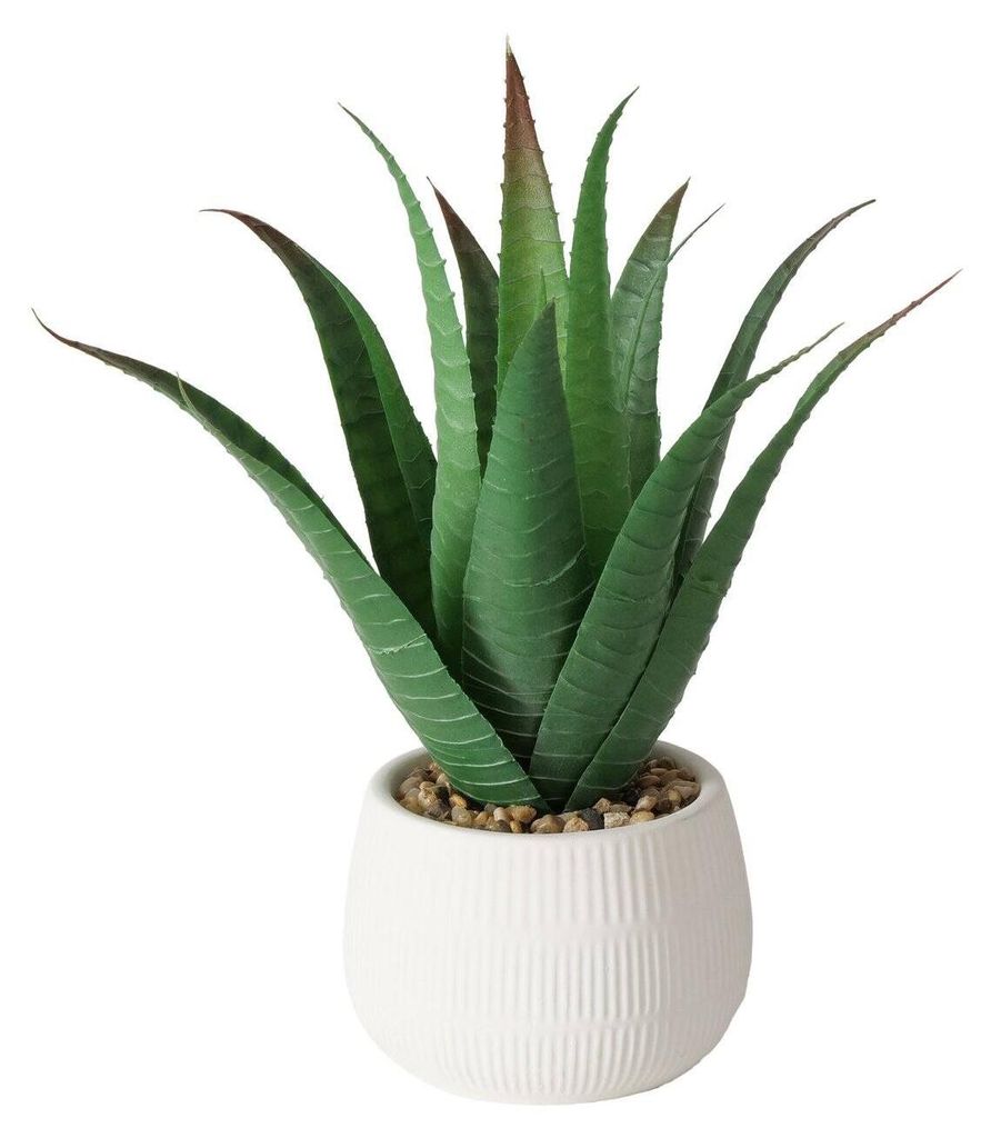 Künstliche Aloe-Pflanze im Blumentopf MONDRAGO, 29 cm Produktbild 