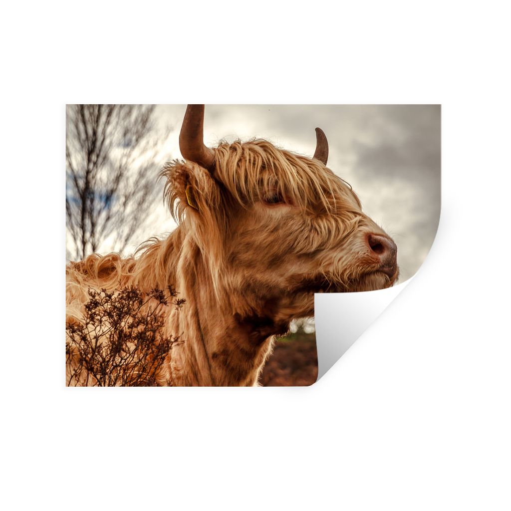MuchoWow Wandtattoo Wandsticker Wandaufkleber Scottish Highlander - Strauch - Heidekraut 120x90 cm Selbstklebend und Repositionierbar - Aufkleber