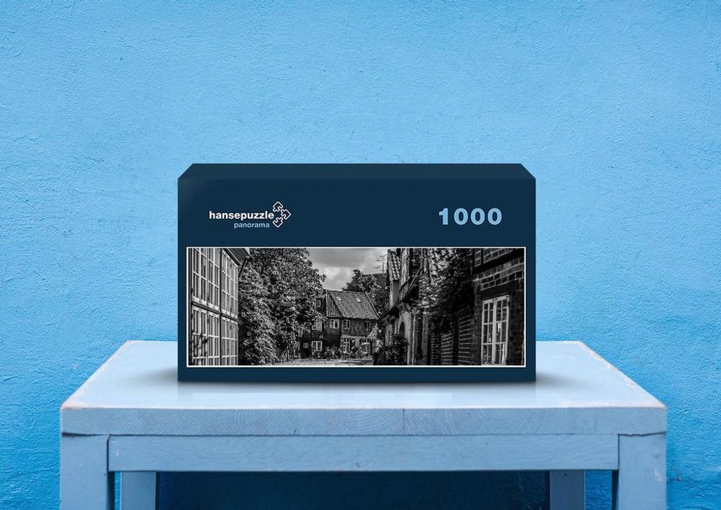 hansepuzzle 30020 - Stadt Lüneburg Puzzle, 1050 Teile, Reisen, 60,0 x 46,0cm mit hochwertiger Aufbewahrung, Kartonbox & Beutel