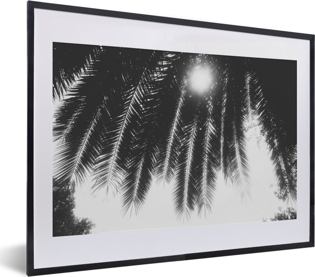MuchoWow Gerahmtes Poster Palmenblätter - Tropisch - Sonne - Palme 40x30 cm - Poster mit Schwarzem Bilderrahmen Wandposter Rahmen Foto Bilder - ...